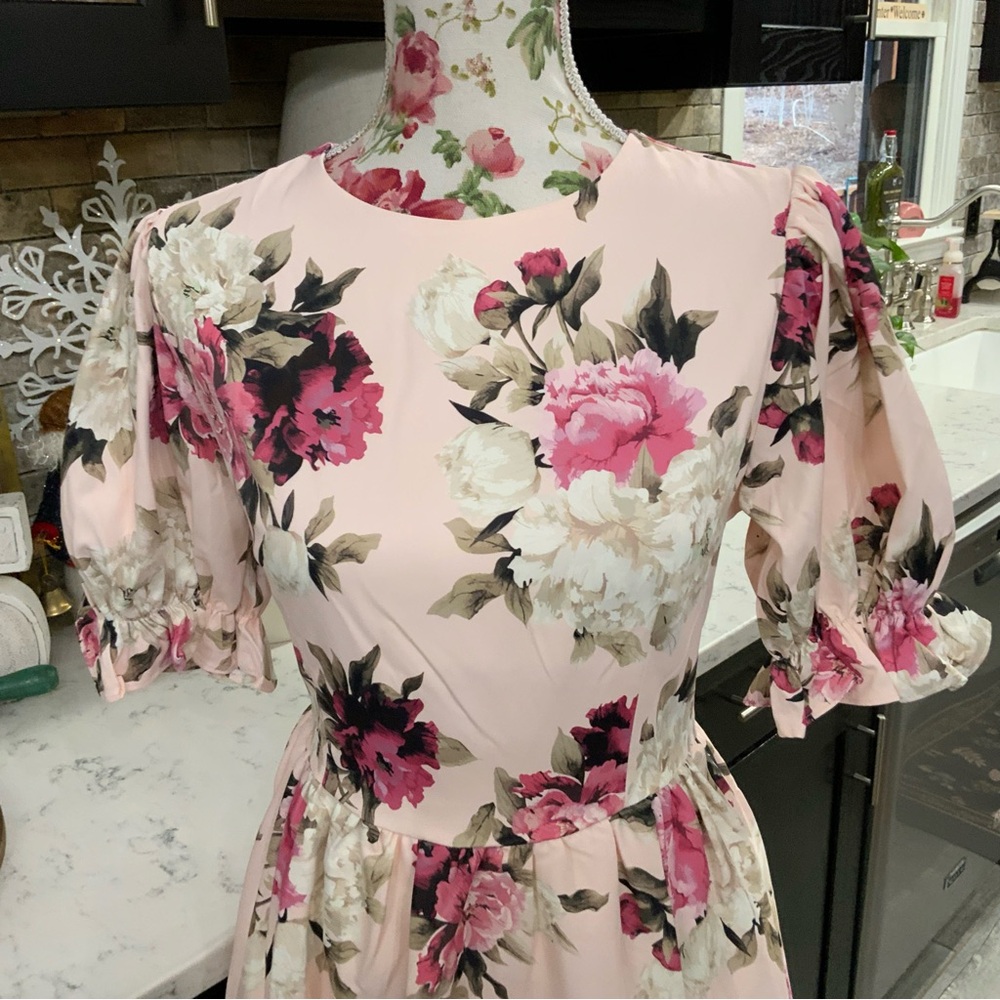 JESSAKAE Midi Dress Rosewood Acre Small Pink Floral Fairy Romantic Cottage Core - Picture 2 of 15